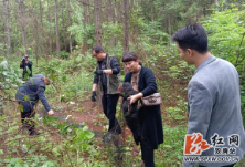 双牌：护鸟营冒雨清理捕鸟网