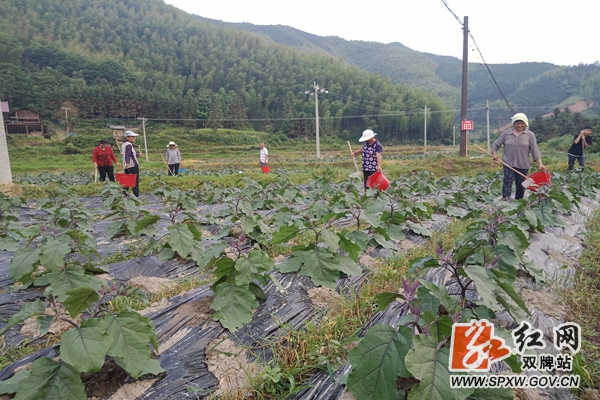 80855aea22b511f5b26deea963d7a8c_副本.jpg