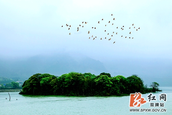 a648b4fbd942976b5429f107c51b756_副本.jpg a648b4fbd942976b5429f107c51b756_副本.jpg