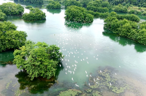 双牌日月湖湿地公园迎来千只候鸟先遣队