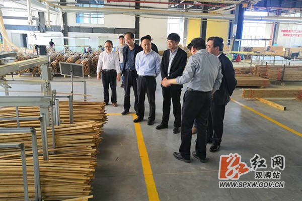 省林业局李志勇调研现场H.jpg