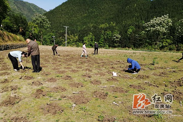 茶林镇：为民做实事H.jpg