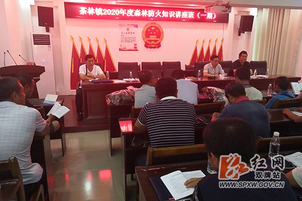 茶林镇：41名生态护林员H.jpg