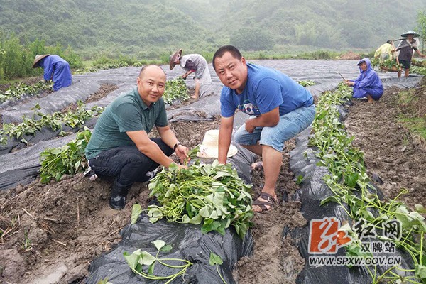 退伍军人唐近德跨乡种田成时尚H.jpg
