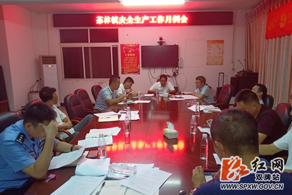 双牌茶林镇强化安全生产工作例会_副本.jpg