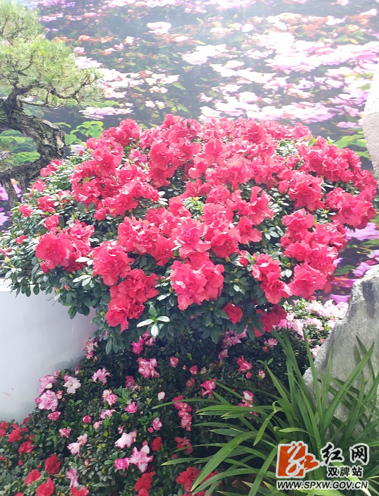 铜奖_副本_副本.png