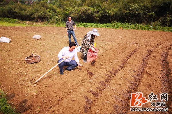 我为群众办实事 双牌上梧江瑶族乡：“稻”亦有道 “姜”心比心2_副本.jpg