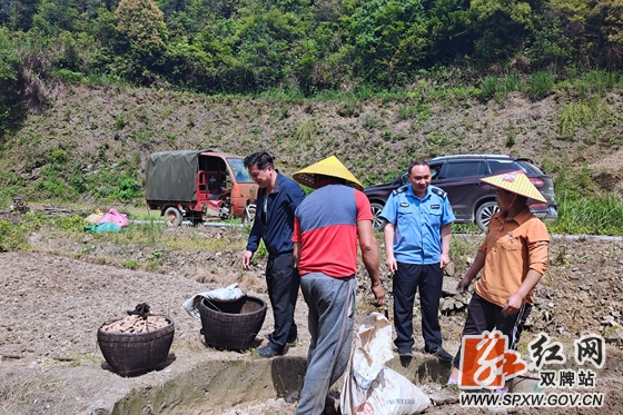 我为群众办实事 双牌上梧江瑶族乡：“稻”亦有道 “姜”心比心1_副本_副本_副本_副本.jpg