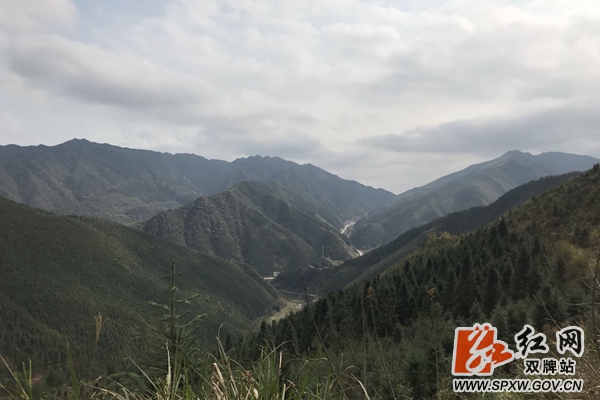 微信图片_20210707114031_副本_副本.jpg