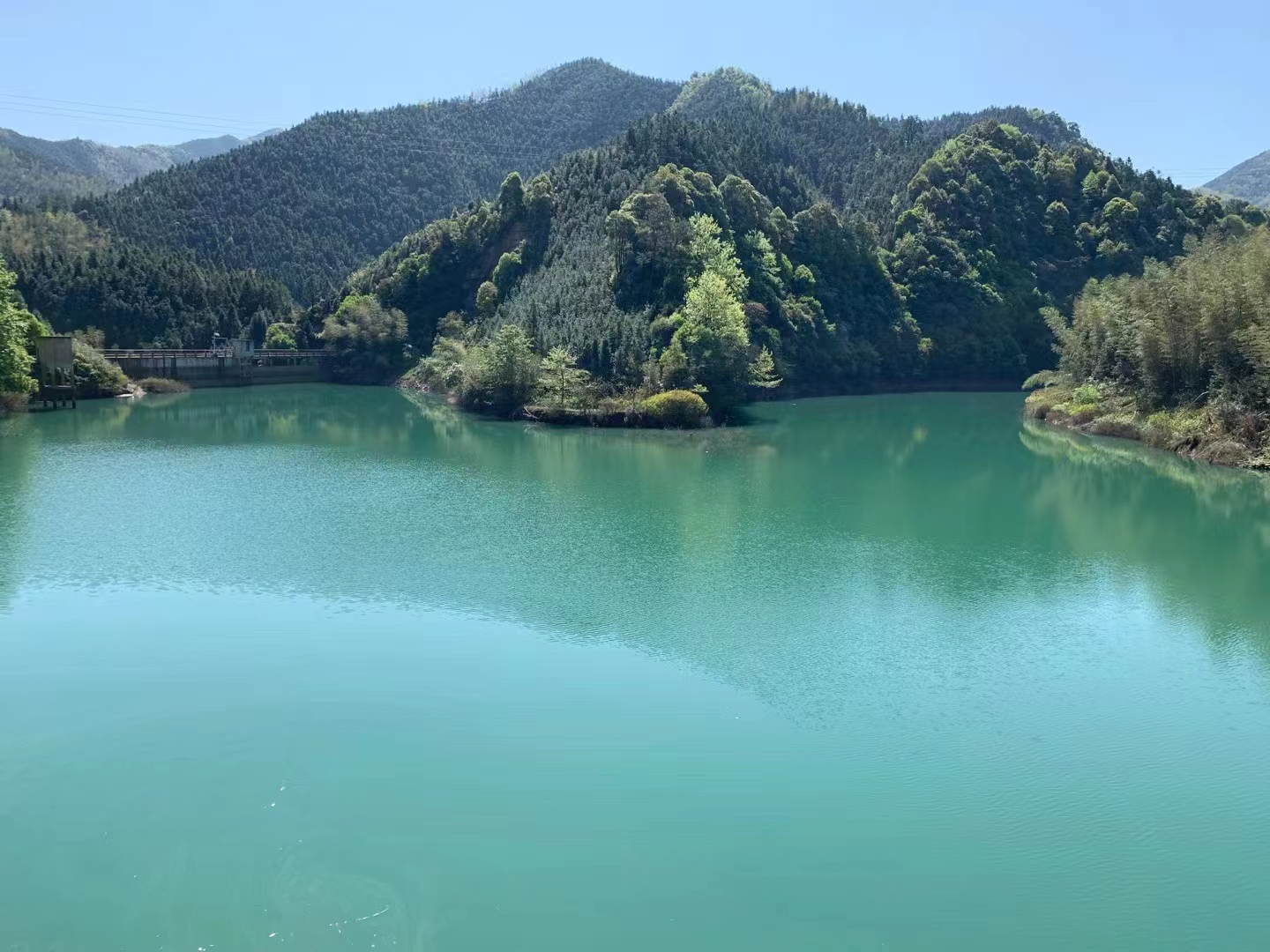 何家洞镇：大力培育“竹下经济”2.png