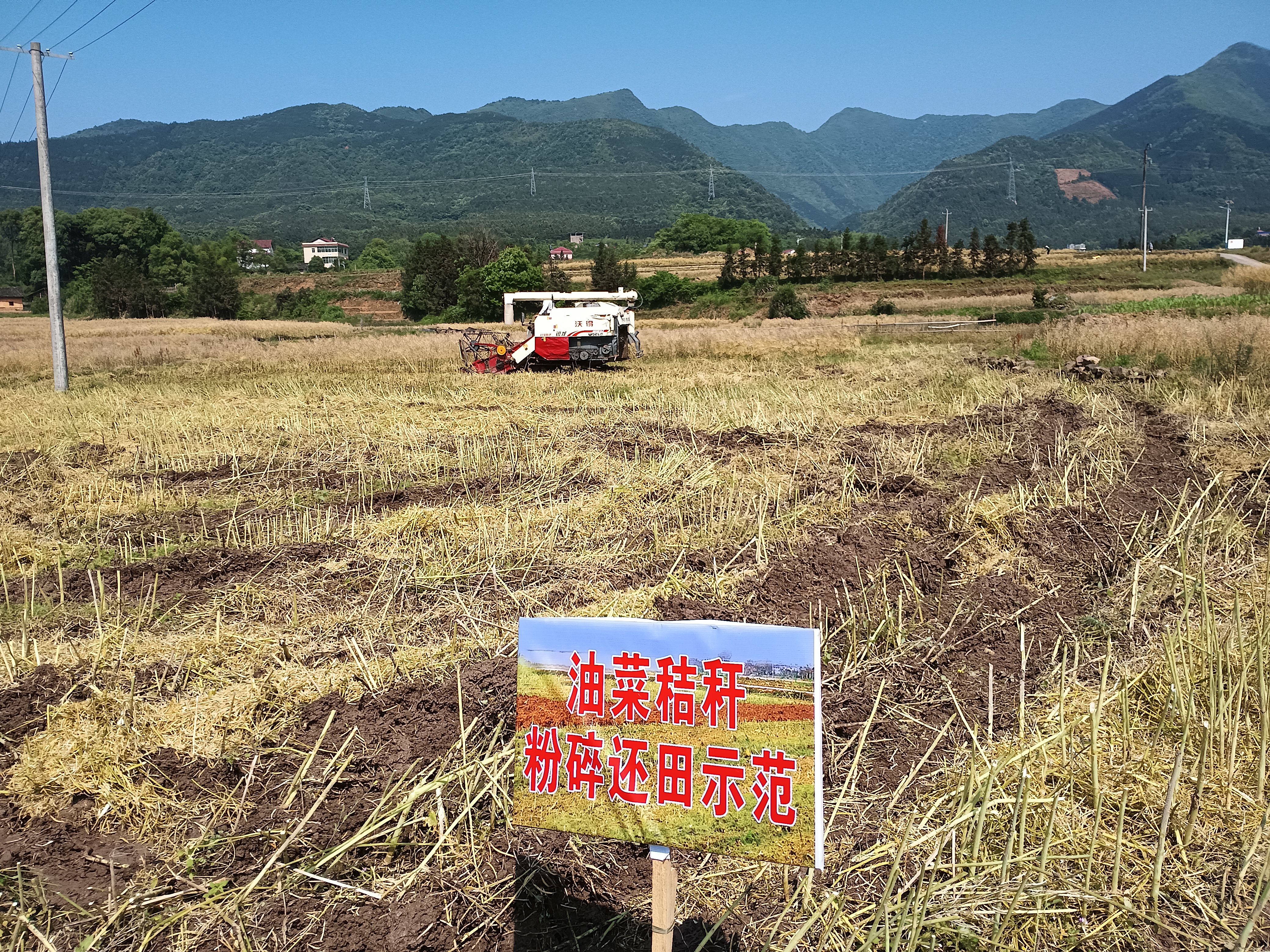 秸秆还田 (1).jpg