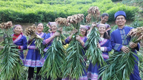 巩固发展民族团结（图1）.jpg