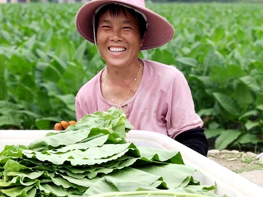 图片4_副本.png