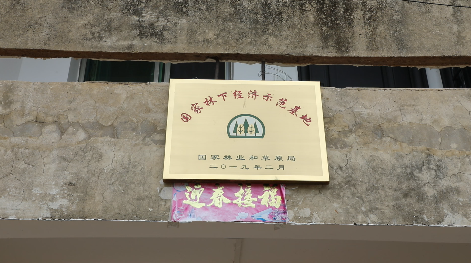 梅花鹿4.png