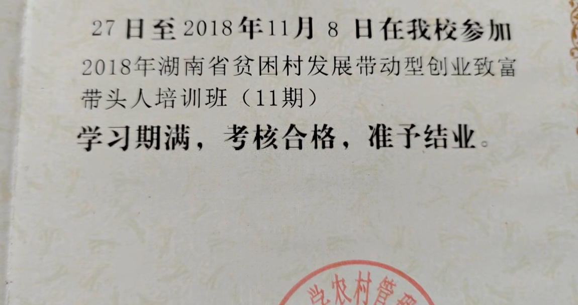 猕猴挑11.png