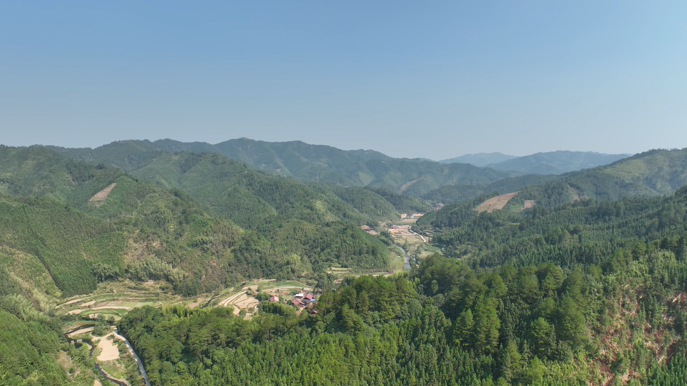 森林防火2.png