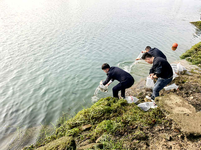 双牌开展公益诉讼增殖放流活动 检察力量守护一江碧水