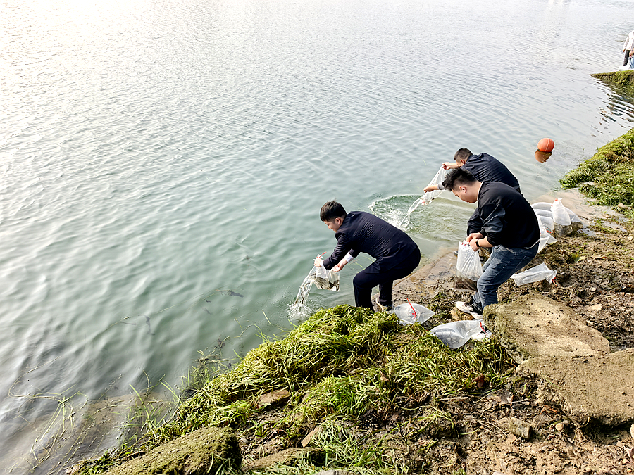 图片 2_副本.png 图片 2_副本.png