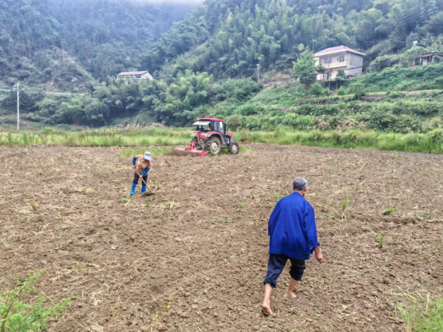 双牌县打鼓坪乡：抢农时抓生产 绘就秋冬种丰收底色