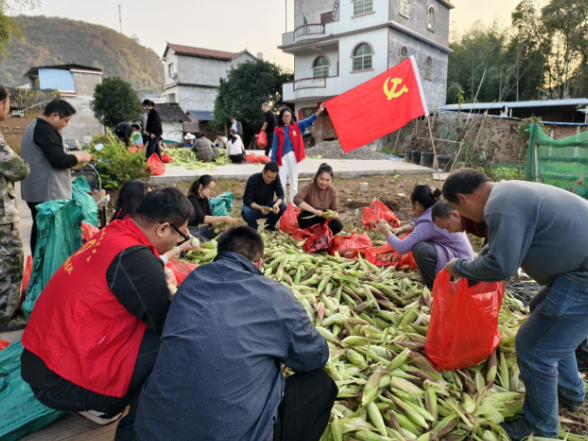 双牌五里牌镇：党建引领助农忙 玉米地里践初心