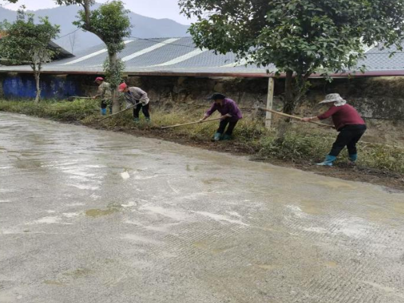 双牌廖家村：村民自发齐上阵 绘就美丽乡村新画卷