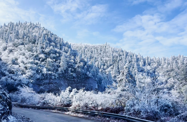 双牌阳明山：2025年首场春雪降临 银装素裹宛如人间仙境