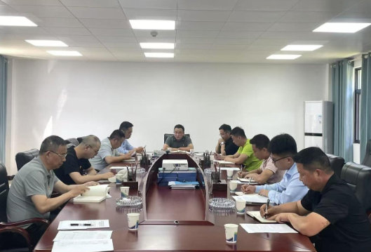 双牌：何家洞镇风电项目临时党支部成立