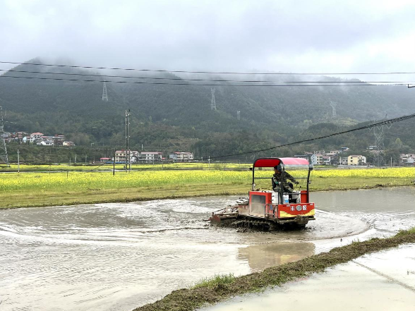 双牌茶林镇：绿肥还田培地力 深耕沃土育新禾