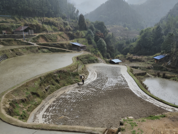 双牌五星岭乡：春耕备耕正当时 暖心服务助农忙
