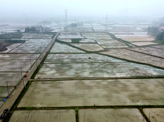 双牌：农机闹春耕 6.5万亩早稻全面春插