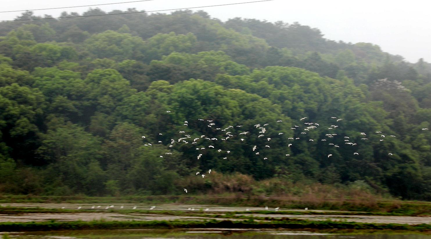 4_副本.png 4_副本.png