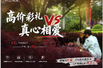 移风易俗微短剧（一）：高价彩礼VS真心相爱