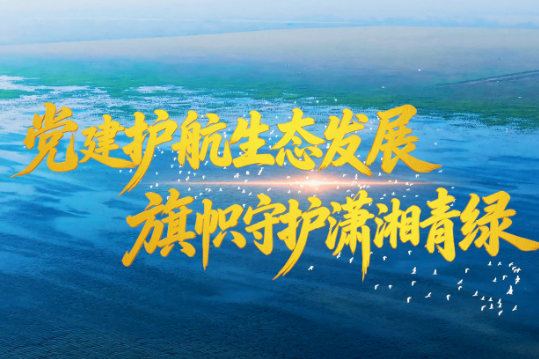 向上的力量｜党建护航生态发展 旗帜守护潇湘青绿