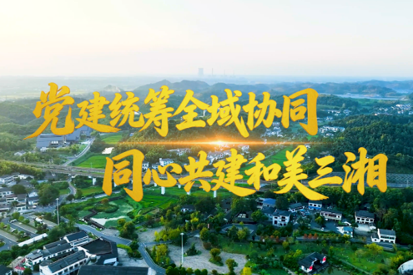 向上的力量｜党建统筹全域协同 同心共建和美三湘