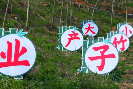 聚焦党代会｜双牌：深耕竹木绿色产业 擘画百亿发展新蓝图