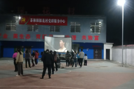 双牌：光影惠民进党群阵地 公益电影点亮乡村夜