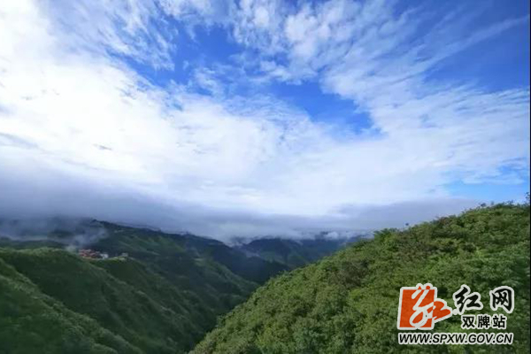 阳明山生态_水印.jpg