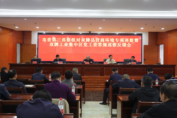 市委第三巡查组1_副本.png
