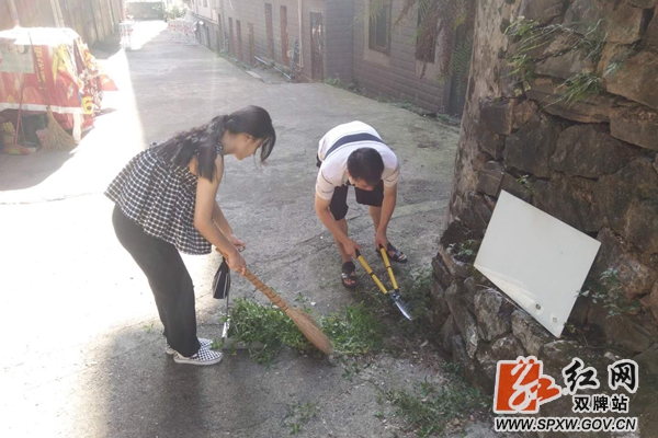 清理杂草2 (2) (1)_副本_加水印.jpg