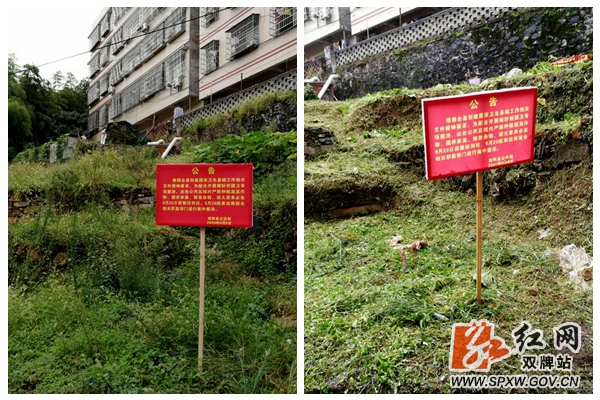 公安局整治拼图 3_水印.jpg