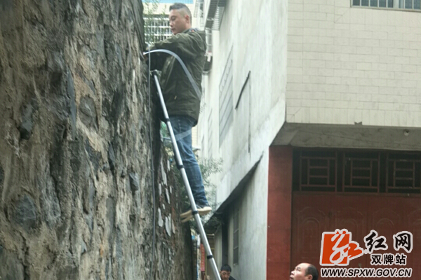 图片1_副本_副本.png