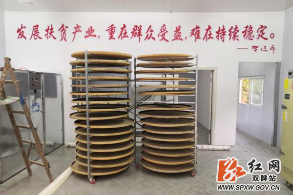 2d239f48-4d9b-4355-8a40-86df295e0eef_副本_副本.png