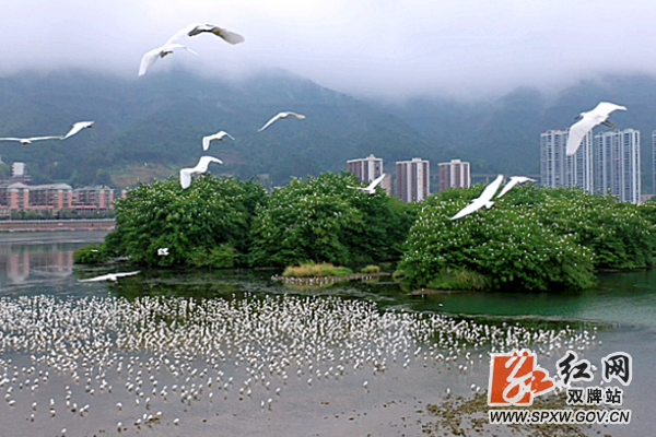 微信图片_20210222154947_副本_副本.png 微信图片_20210222154947_副本_副本.png