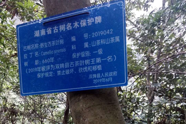 微信图片_20210326114951_副本.jpg