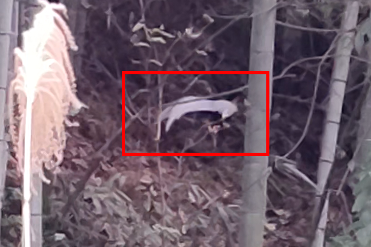 ScreenShot_2025-12-12_105246_739_副本.png ScreenShot_2025-12-12_105246_739_副本.png