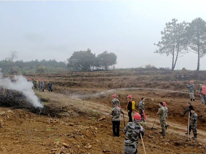 双牌县打鼓坪乡：以“练”筑防 织密森林防火“安全网”