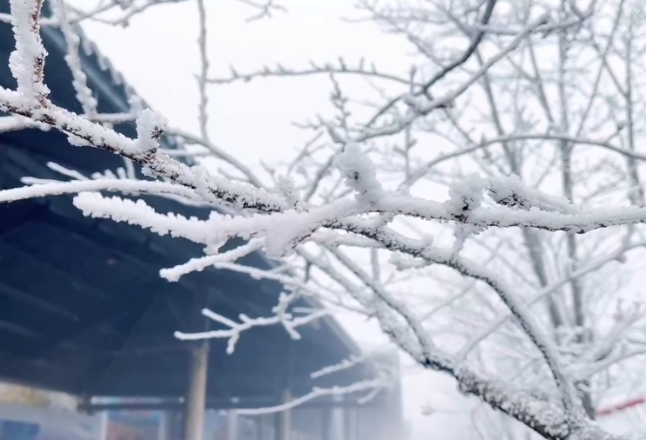 视频丨双牌阳明山迎来今冬首场雾凇奇观