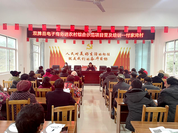 双牌何家洞镇：电子商务进乡村，助力群众创业增收(图)_副本.png