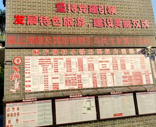 茶林镇开展“护飞”行动，守护候鸟“生命线”（图2）_副本.png