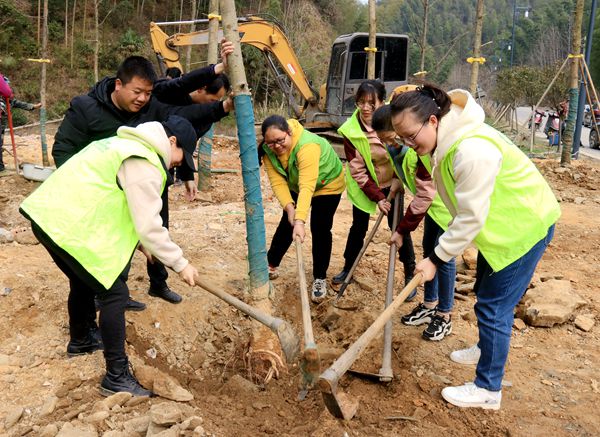 阳明山管理局：义务植树活动添新绿 文明新风入人心（图）_副本.jpg